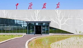 打造千億級(jí)種業(yè)和糧食產(chǎn)業(yè)集群，河南“中原農(nóng)谷”雛形初現(xiàn)