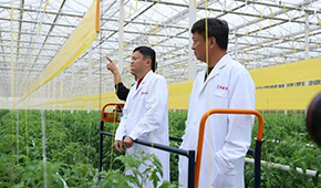 馬家廚房？馬家秘制老鴨煲？馬云的“假動作”為何讓市場興奮？