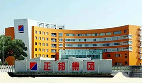 “江西豬王”易主，雙胞胎正式入主正邦