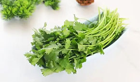 香菜餅、香菜丸、香菜油條、香菜小酥肉…香菜為啥這么“香”？