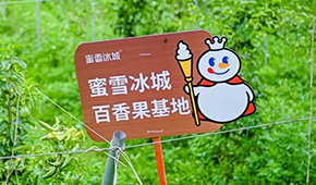 今日上市！覆蓋全球六大洲38個國家，“雪王”的采購網(wǎng)到底有多牛？