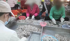 3·15晚會(huì)曝光凍蝦仁超量添加保水劑，相關(guān)企業(yè)產(chǎn)品下架